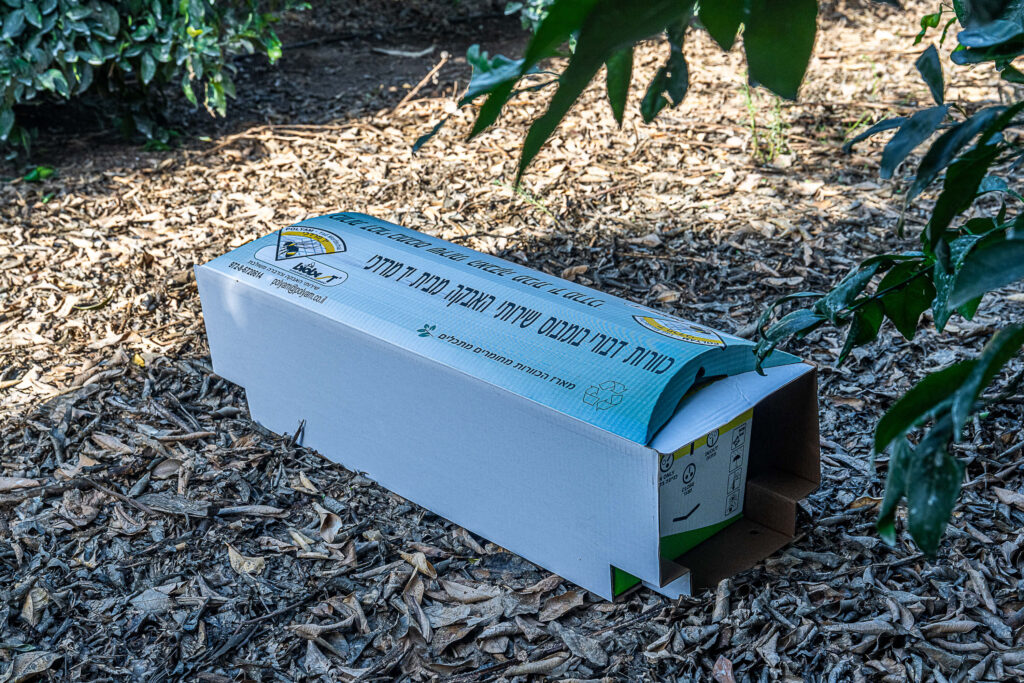 מאגדת כוורת דבורי בומבוס למטעים