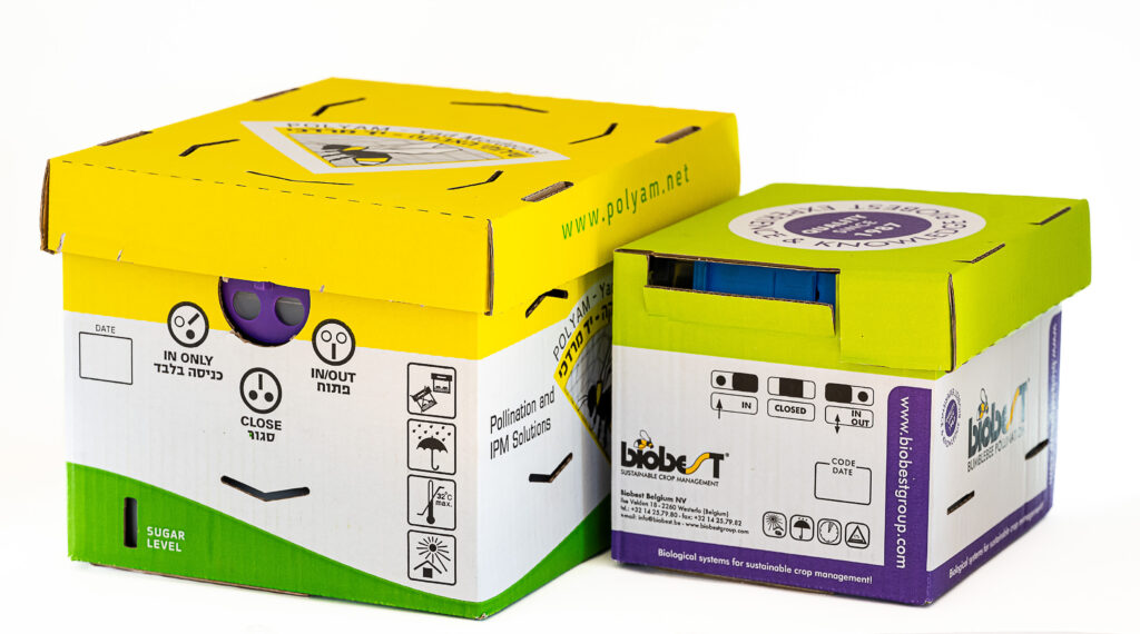 כוורת מיני וכוורת קלאסי ביחד